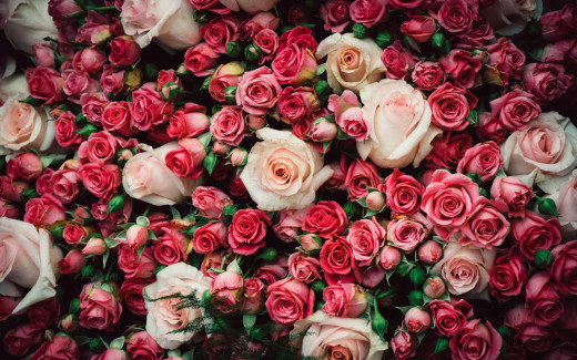 1445140 (a): :2880x1800